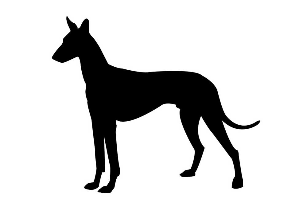 Dog Standing in Silhouette | Dog Clip Art Pictures