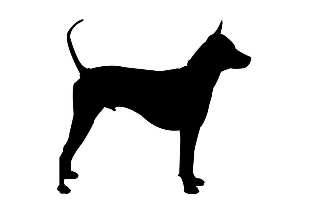 Clip Art Dog Stands in Silhouette | Dog Clip Art Images