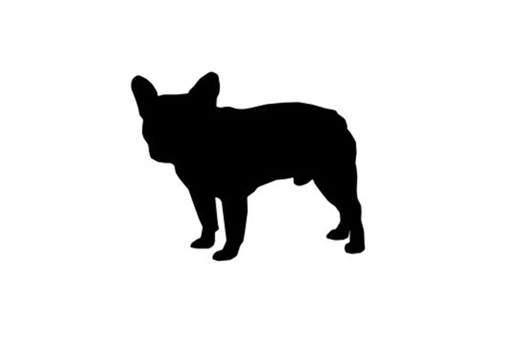 Boston Terrier Clip Art Image | Dog Clip Art Pictures