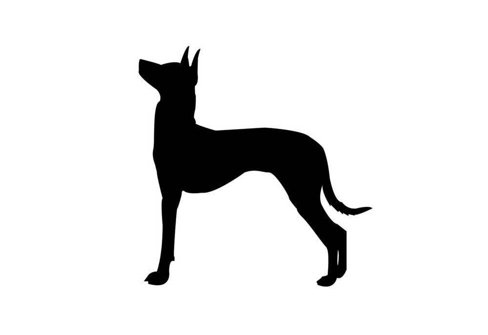 Clip Art Picture of Dog Standing with Head Up | Clip Art of Dogs