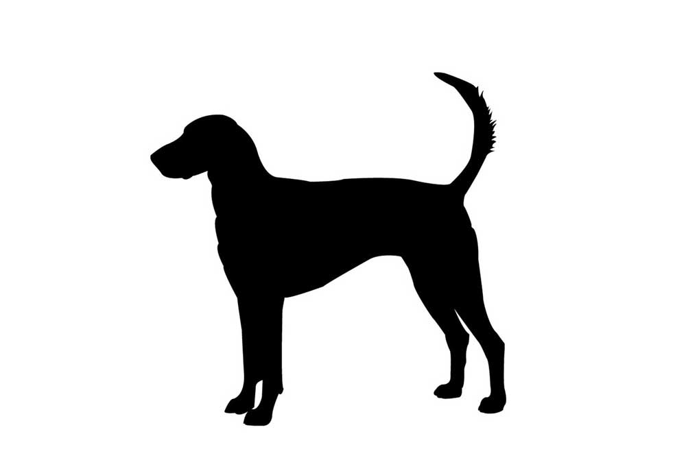 Dog Standing with Tail Up | Dog Clip Art Pictures