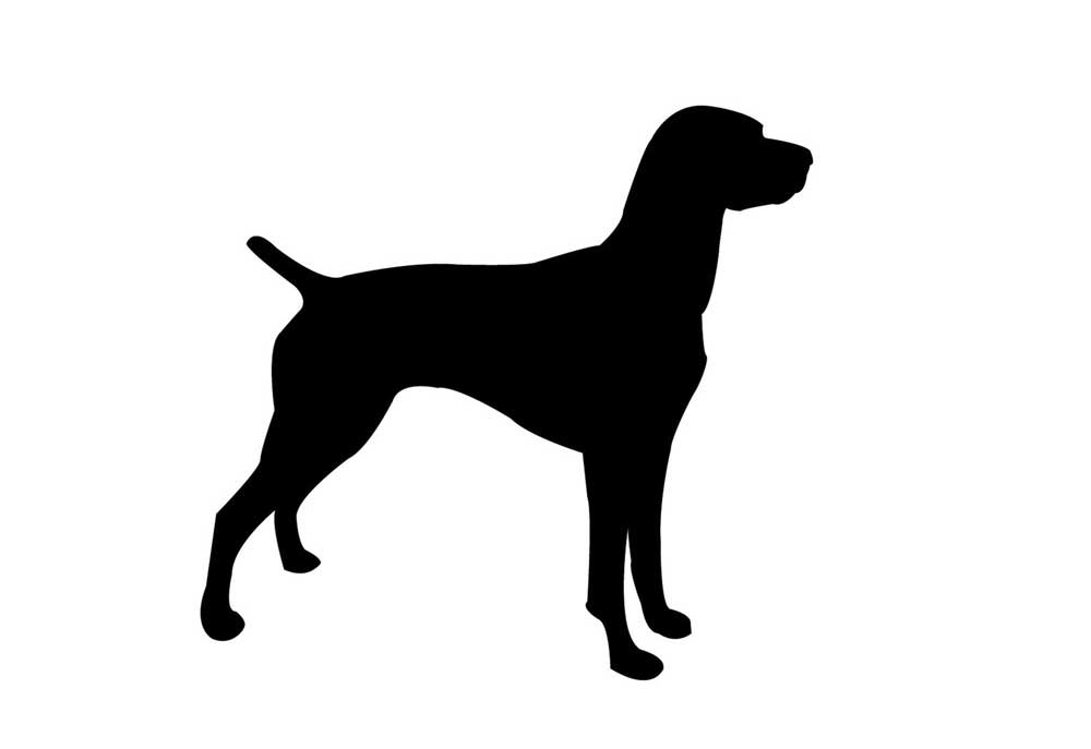 A Large Breed Dog Standing in Silhouette | Dog Clip Art Pictures Images
