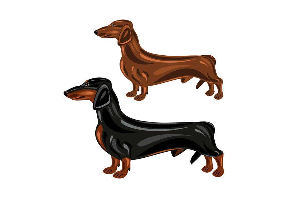 Clipart of Two Dachshund Dogs | Dog Clip Art Images