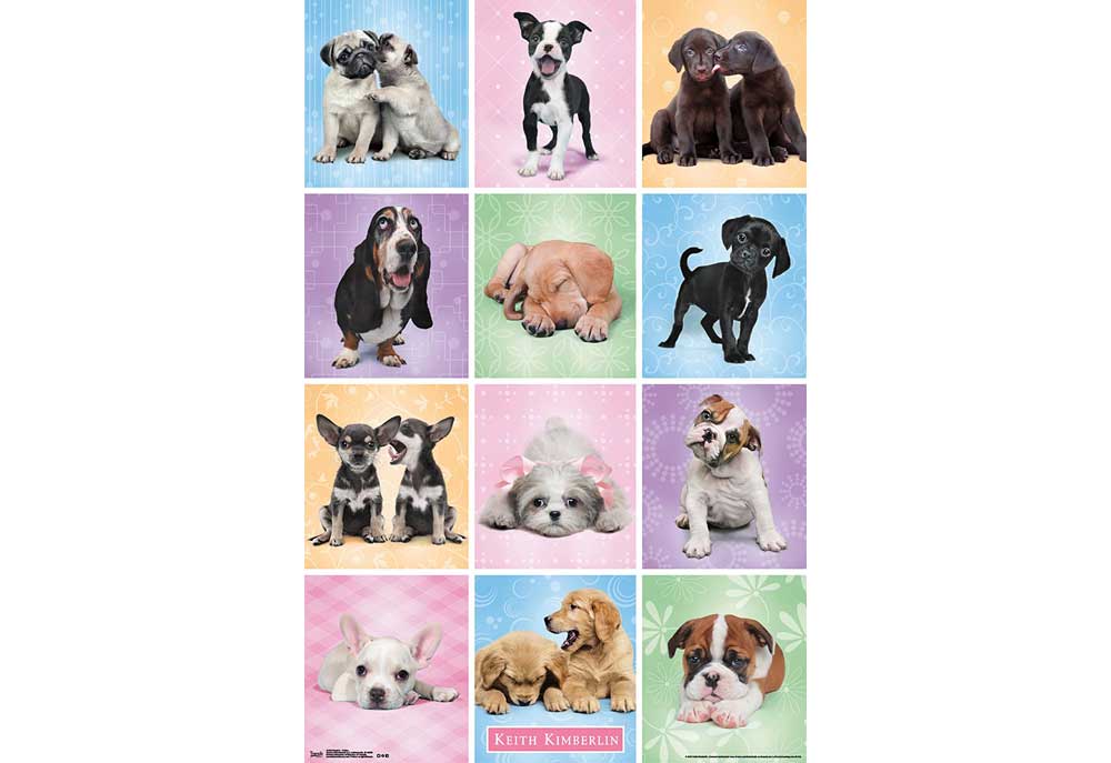 Twelve Photos of Cute Puppy Dogs Poster | Dog Posters and Prints