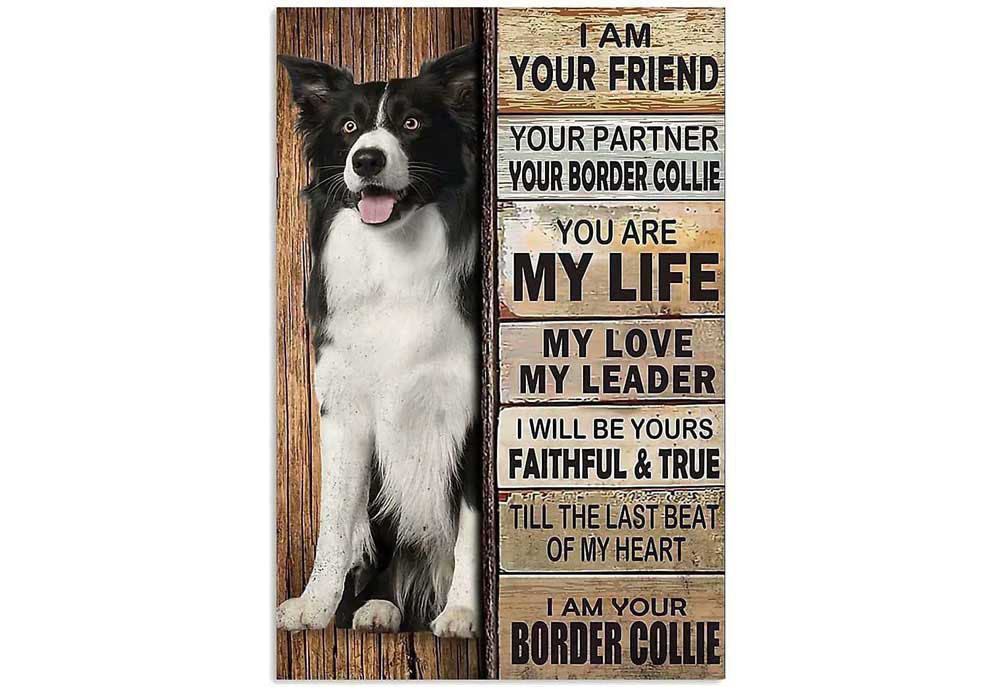 I Am Your Border Collie Poster | Dog Posters Art Prints