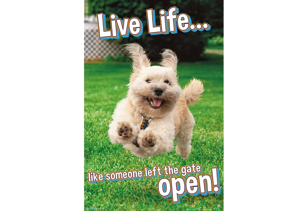 Happy Dog Poster Live Life | Dog Posters Art Prints