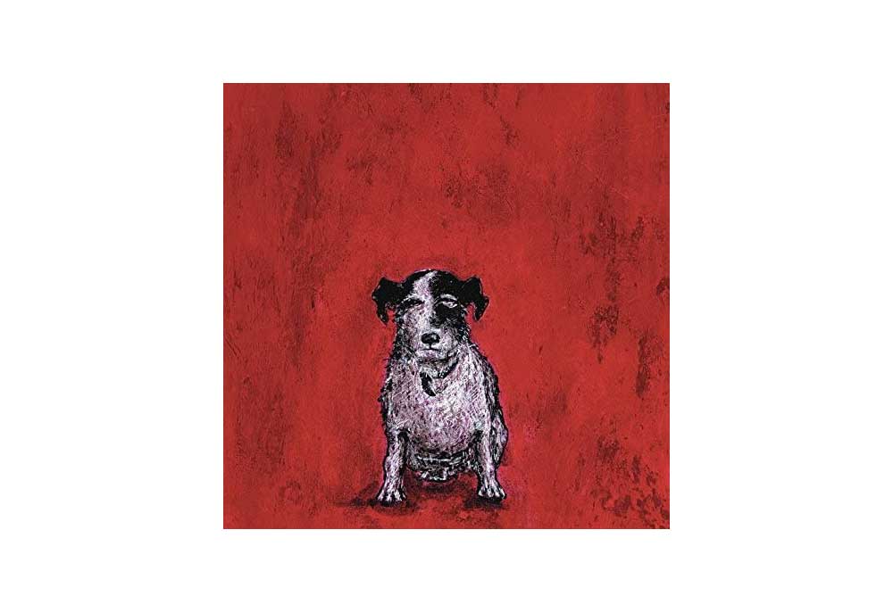 Sam Toft Poster Art 'Small Dog' | Dog Posters Art Prints