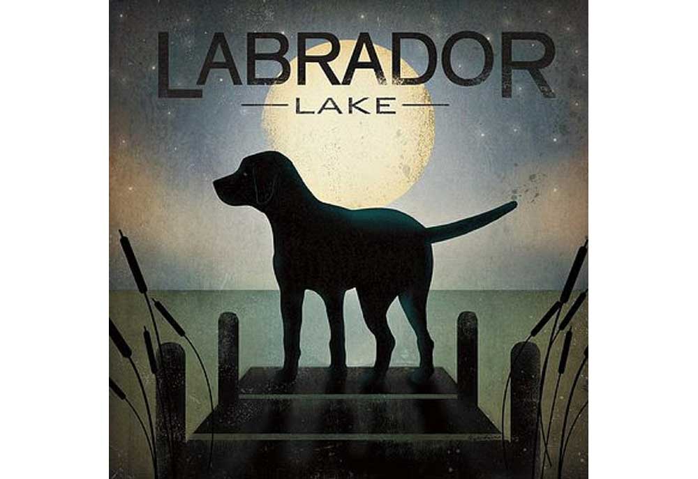 Labrador Lake by Ryan Fowler | Dog Posters Art Prints