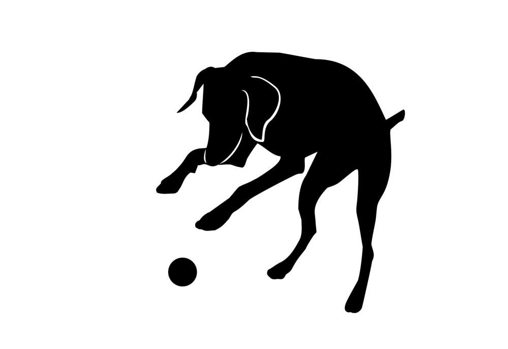 Silhouette of Dog Pouncing on Ball | Dog Clip Art Images