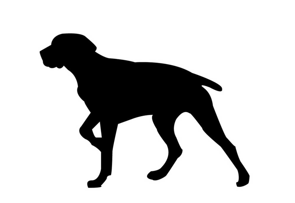 Silhouette of Large Dog Pointing | Dog Clip Art Images