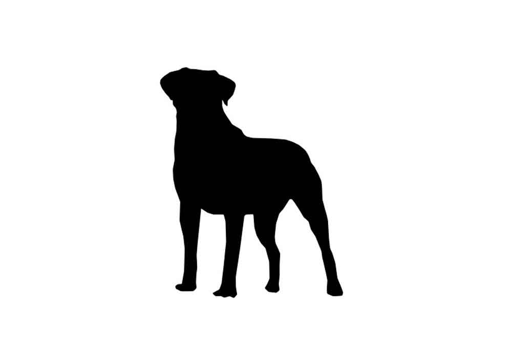 Silhouette of Large Standing Dog | Dog Clip Art Images