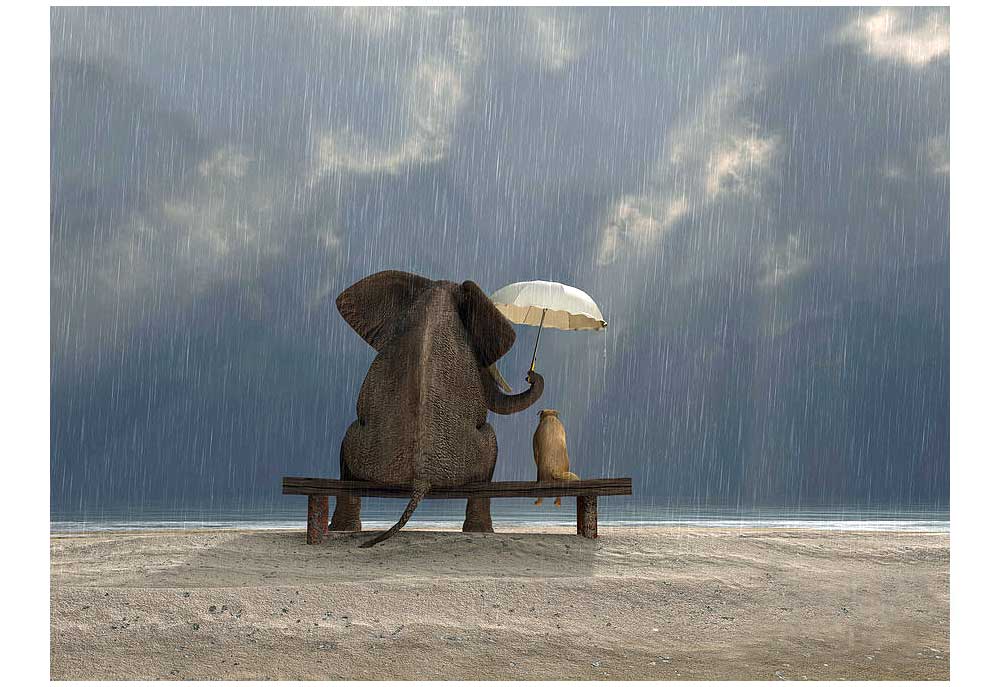 Dog and Elephant Sit Under the Rain Art Print Mike Kiev | Dog Posters and Prints