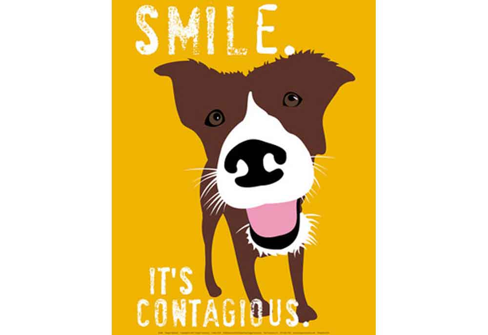 Smiling Dog Motivational Print | Dog Posters Art Prints