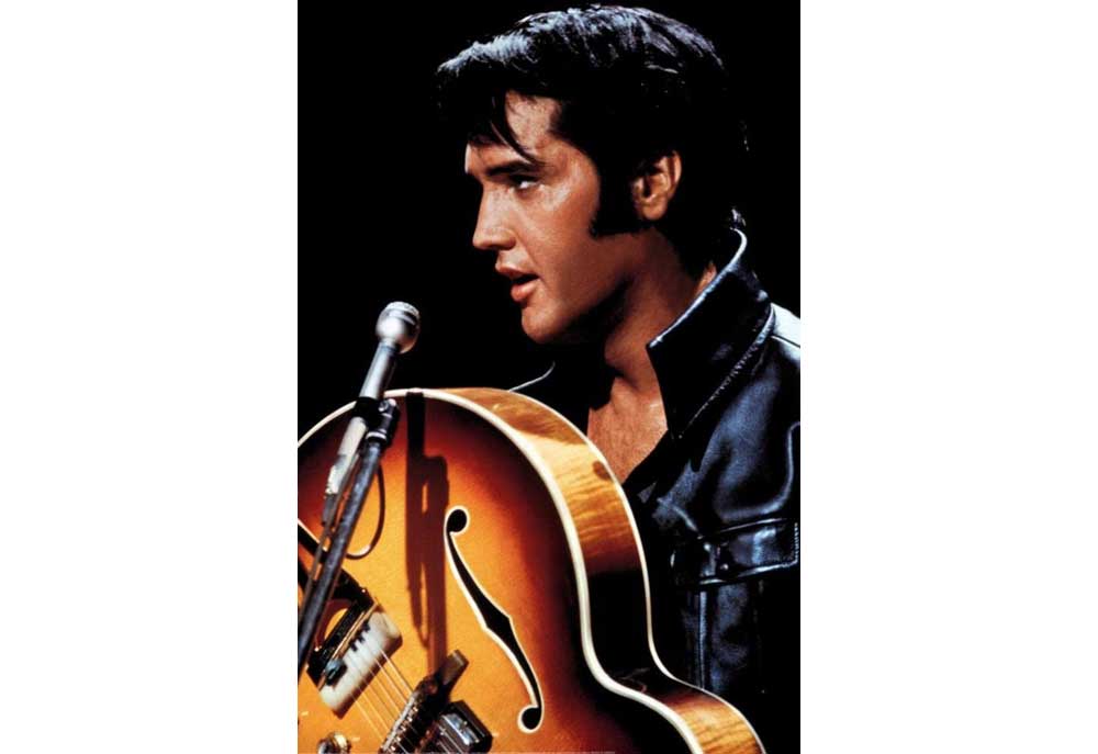 Elvis Hound Dog Poster | Dog Posters Art Prints