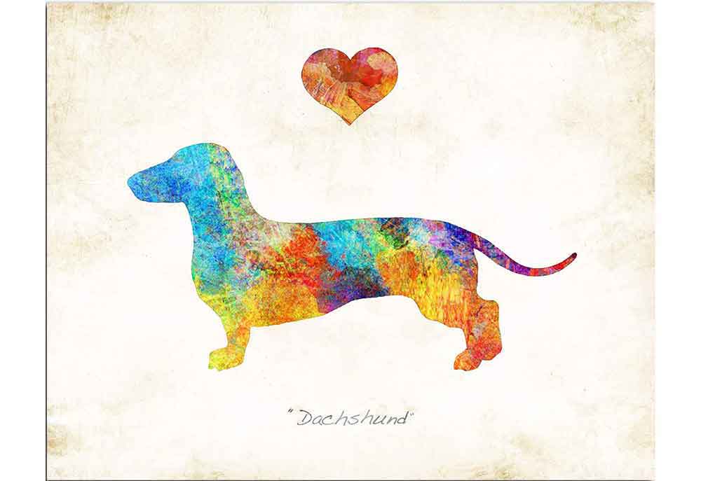 Love Little Dachshund Dogs | Dog Posters Art Prints