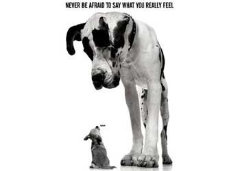 Dog Posters | Poster Pictures Prints of Dogs