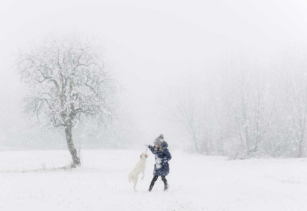 Picture of Dog and Girl Playing on a Snowy Day | Dog Photography