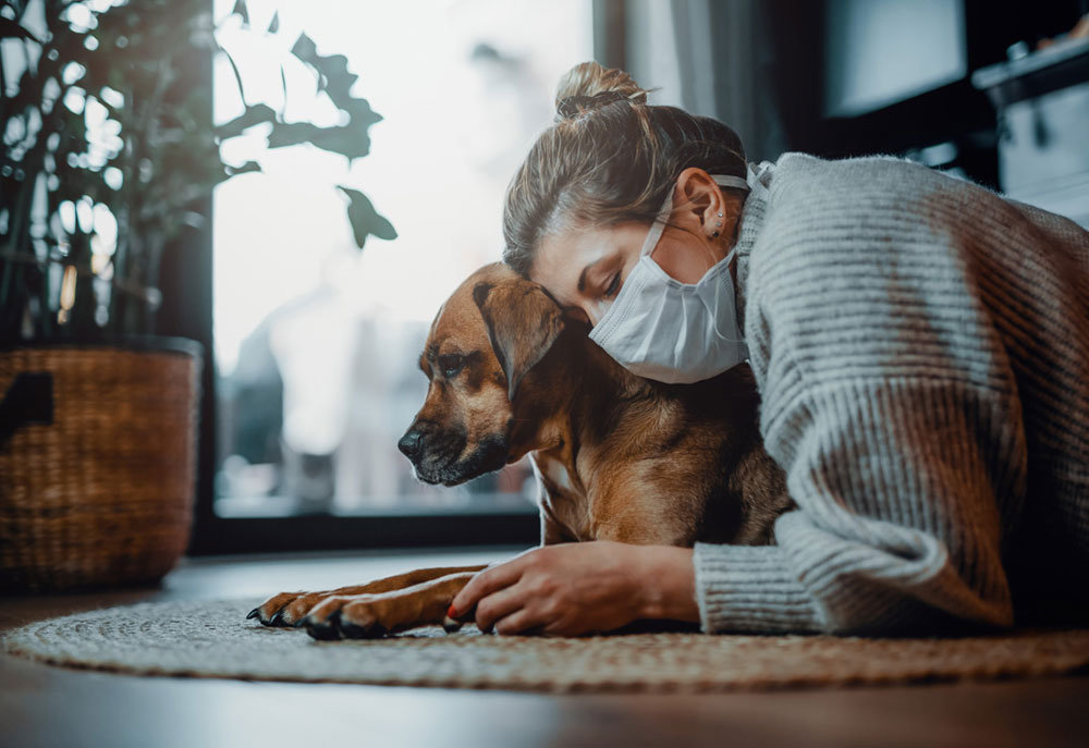 Picture of Woman in Pandemic Mask with Her Dog | Dog Photography Pictures and Images