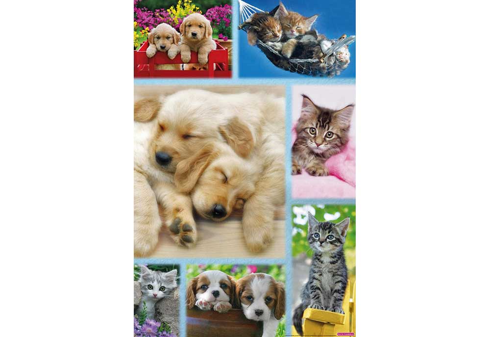 Puppy Dog and Kitten Poster | Dog Posters Art Prints