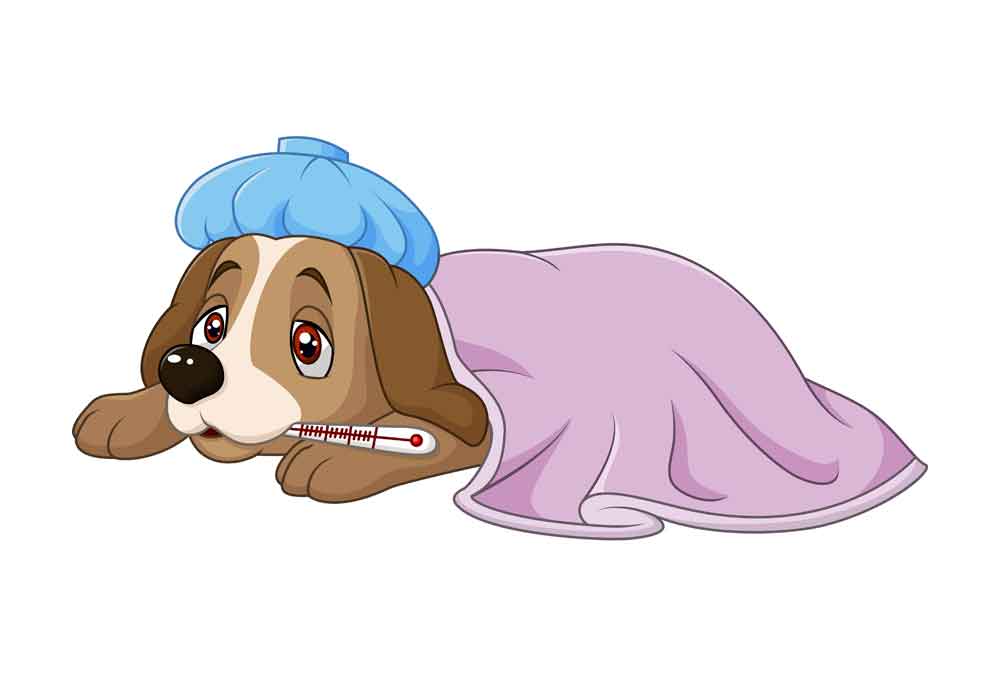 Clip Art of a Sick Puppy Dog | Dog Clip Art Images