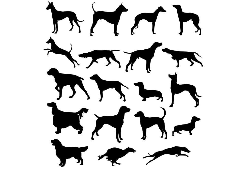Hunting Dog Silhouettes Clip Art | Dog Clip Art Images