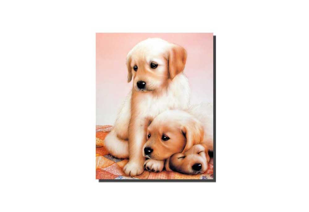 Three Golden Puppies Dog Poster | Dog Posters and Prints
