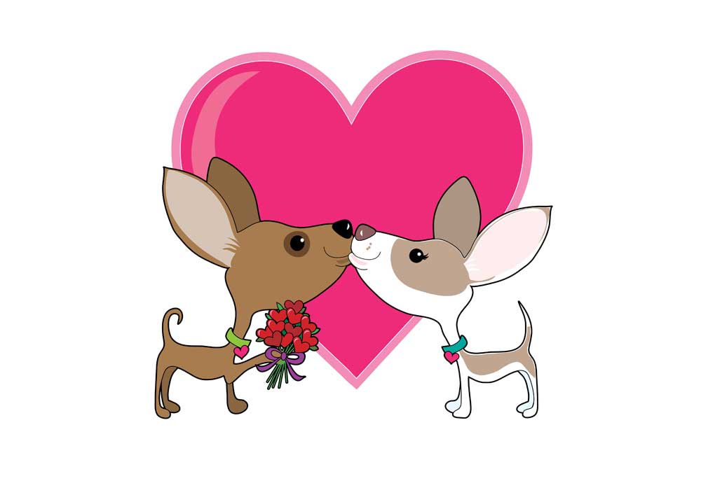 Two Valentine Chihuahua Dogs | Dog Clip Art Images